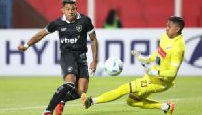 nacional-potosi-libertadores-botafogo