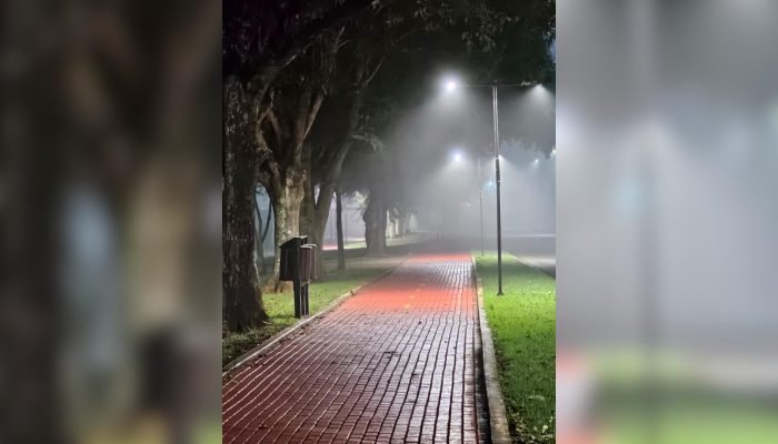 Neblina intensa em Maracaju — Foto: Neblina intensa em Maracaju (Reprodução, Por