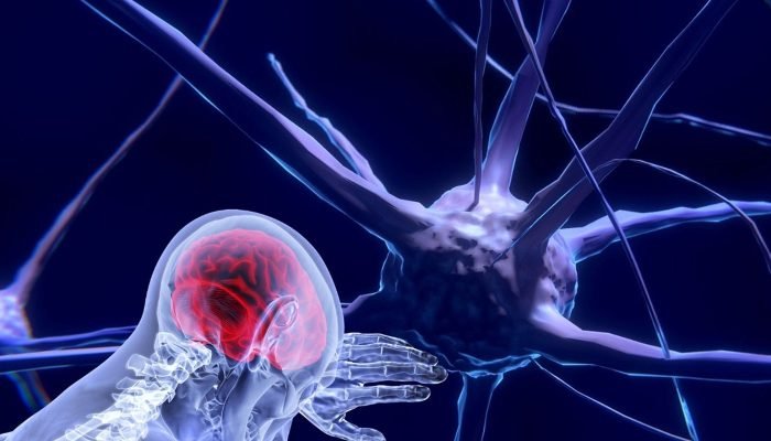 UNESCO alerta para a ética no uso da neurotecnologia