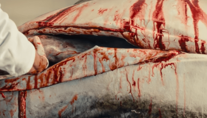 o-agente-secreto-tubarao