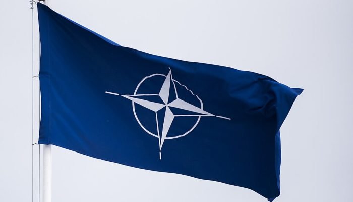 Construção de cerca na fronteira com a Rússia — Foto: Busca Gazeta do Povo