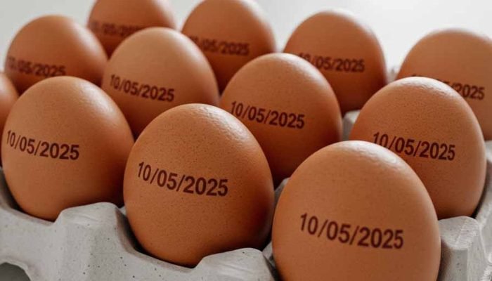 ovos-com-data.jpg