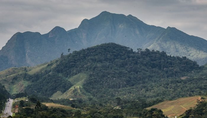 SOS Mata Atlântica lança Aliança com setor privado para conservação