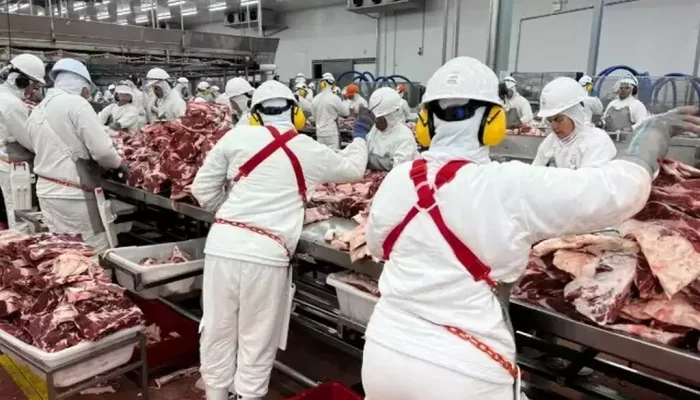 Trabalhadores de frigorífico; setor é o que mais empregou em MS (Foto: Reprodução)