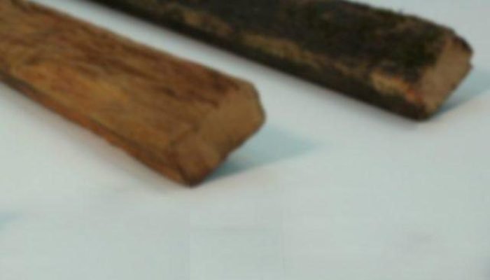 Foto: Mulher relatou que foi agredida com pedaço de madeira pelo irmão. (Imagem