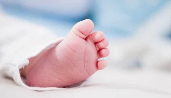 pexels-dominika-roseclay-1271565