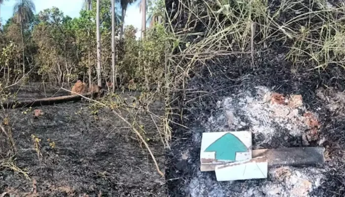 Incêndio criminoso destrói parte de cartão-postal natural de Aquidauana