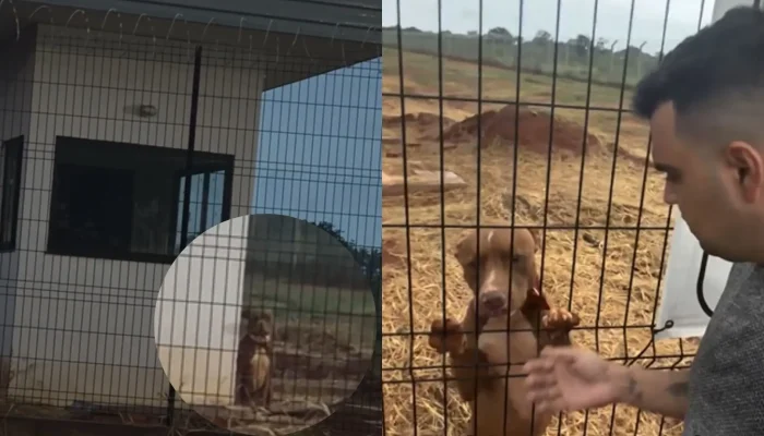 Foto: (Imagens: Everton Myller)