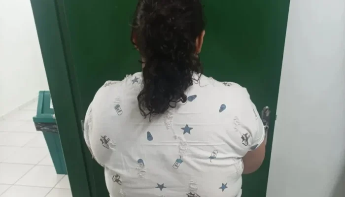 A mulher foi presa em flagrante. (Foto: PCSC/Reprodução)