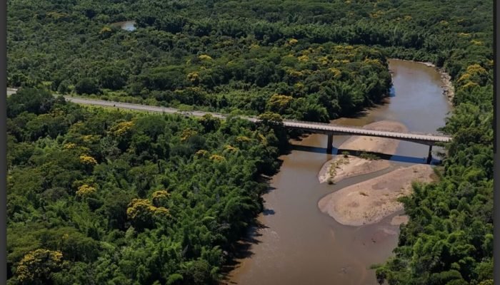 ponte-rio-miranda
