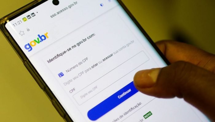 Foto: Aplicativo Gov.BR. (Foto: Agência Brasil)