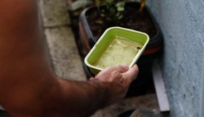 prevencao-dengue-agencia-brasil-730x480