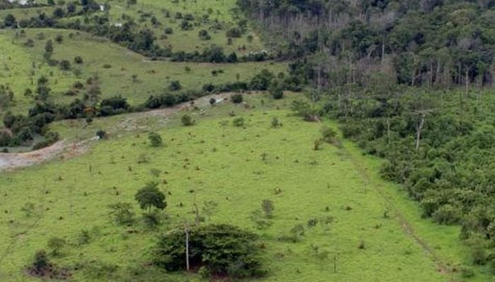 Governo prorroga prazo para georreferenciamento de imóveis rurais