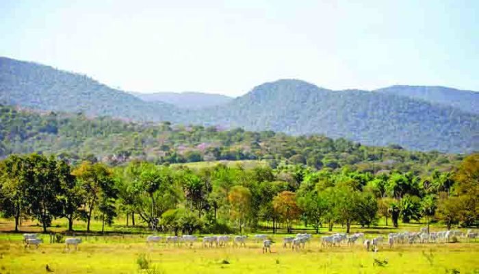 psa-cponservacao-ambiental