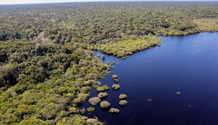 Desmatamento na Amazônia e Cerrado Apresenta Queda de 11% Desmatamento na Amazônia e Cerrado Apresenta Queda de 11%