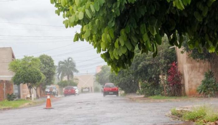 Chuva no Jardim Ima em Campo Grande nesta quarta-feira (18) — Foto: Chuva no Jar