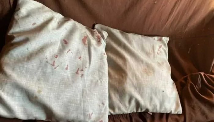 Mulher mata companheira em Três Lagoas e alega possessão espiritual