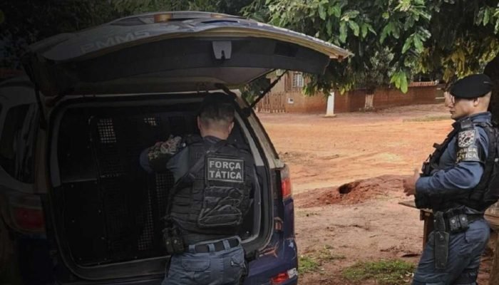 Homem é preso em Campo Grande por ameaçar locador com faca após corte de energia