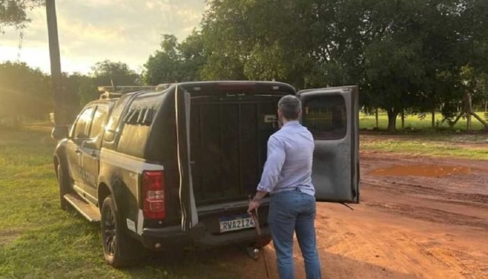 Filho tenta matar a mãe com golpes de foice e vai preso em Caarapó