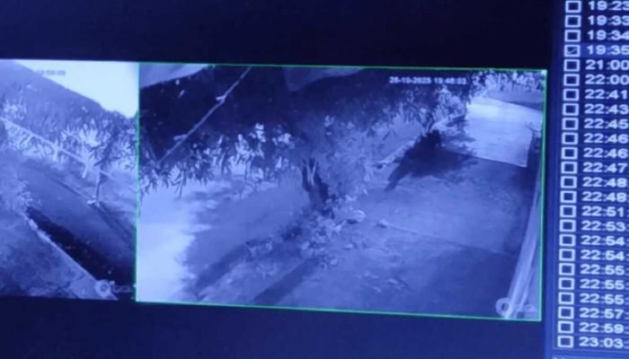 Pai mata filha com golpes de barra de ferro em calçada de SP