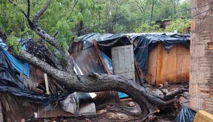 Árvore Cai e Destrói Parte de Casa Durante Temporal em Corumbá Árvore Cai e Destrói Parte de Casa Durante Temporal em Corumbá