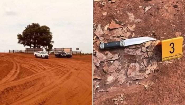 Mato Grosso do Sul registra 29º caso de feminicídio em 2025