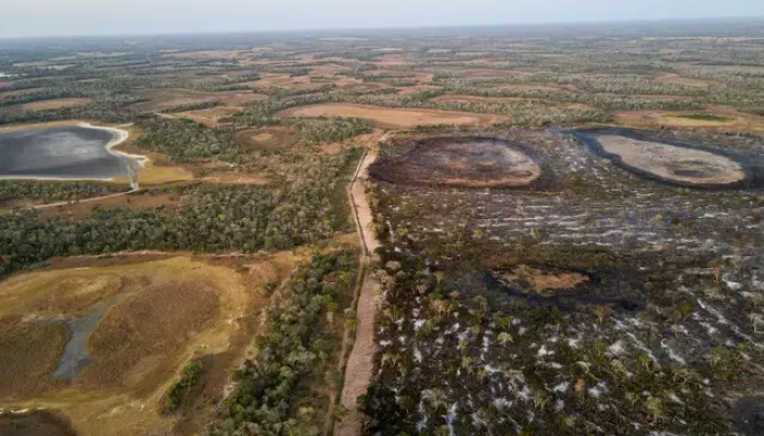 Imagem aérea de pasto queimado contrasta com a seca dos alagados nos incêndios florestais de 2024 (Foto: Gustavo Figueiroa)