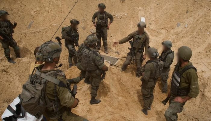 Busca Gazeta do Povo — Foto: Busca Gazeta do Povo