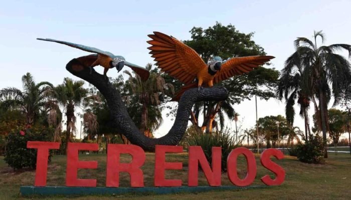 Foto: Acidente aconteceu na zona rural de Terenos, a 17 quilômetros de Campo Gra