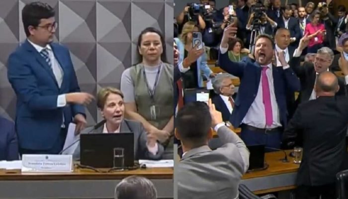 tereza-cristina-e-bolsonaristas-tv-senado.jpg