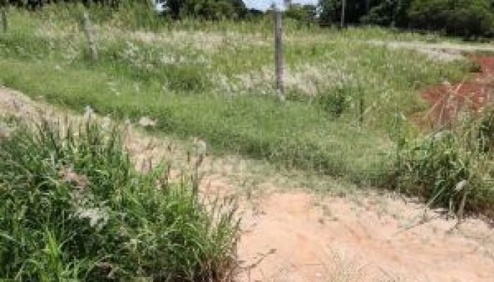 Prefeitura de Dourados autua proprietários de terrenos baldios com mato e sujeira