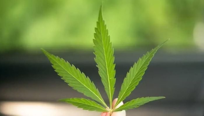 thumbnail-image001-29-