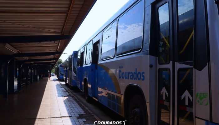 transporte-publico-claramds-9.jpeg