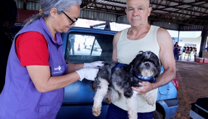 vacina-caes-gatos_ccz_drive-thru_-32-e1792418600299-2-rf
