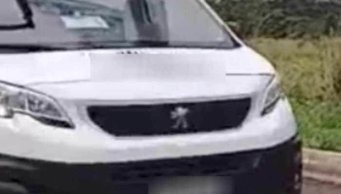 van-2