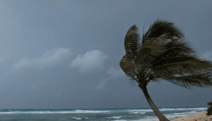 Ventos fortes — Foto: Ventos fortes | Reprodução Inmet