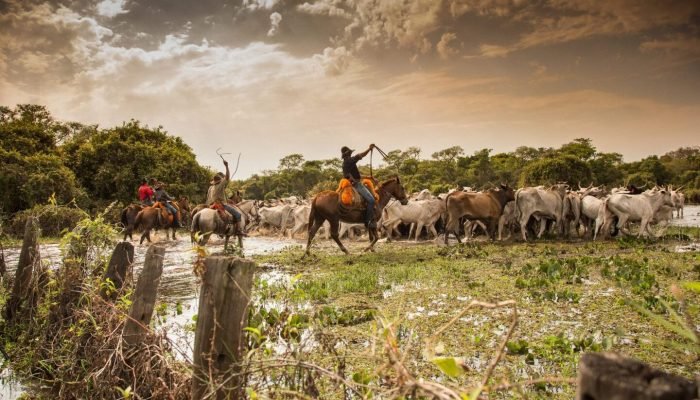 visitms-mato-grosso-do-sul-pantanal-cultura-pantaneira-1536x1024-1