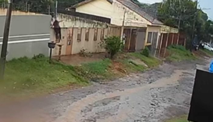 Foto: (Foto: Henrique Arakaki, Midiamax)