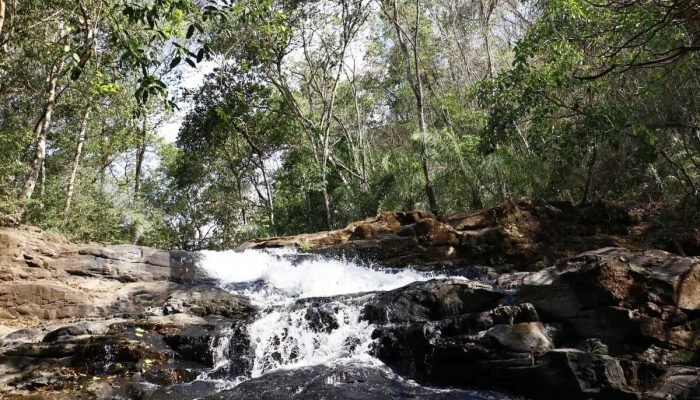 Obras do Parque Cachoeiras do Céuzinho custarão mais de R$ 7 milhões em Campo Grande Obras do Parque Cachoeiras do Céuzinho custarão mais de R$ 7 milhões em Campo Grande
