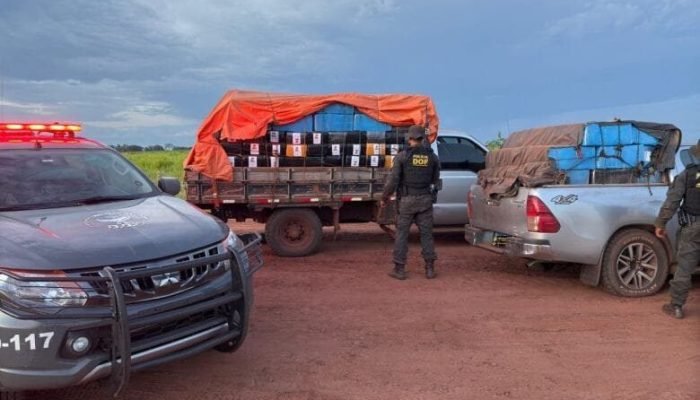 Maconha foi apreendida por policiais do DOF - Crédito: Divulgação