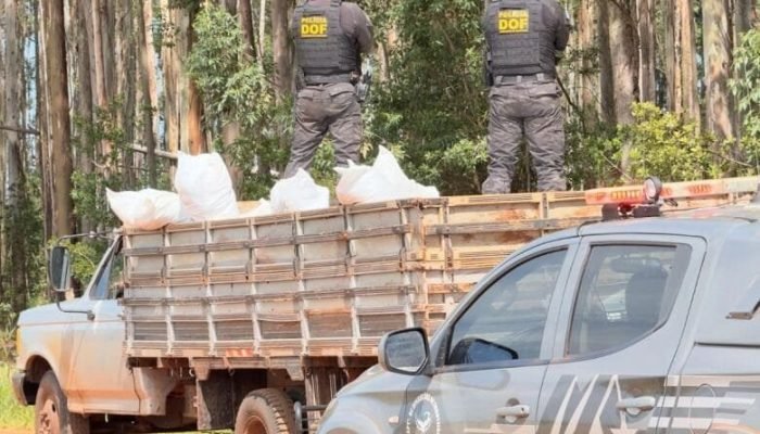 O prejuízo estimado ao crime foi de R$ 3,5 milhões - Crédito: Divulgação
