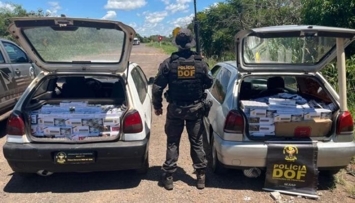 Prejuízo estimado ao crime foi de R$ 80 mil - Crédito: Divulgação/DOF