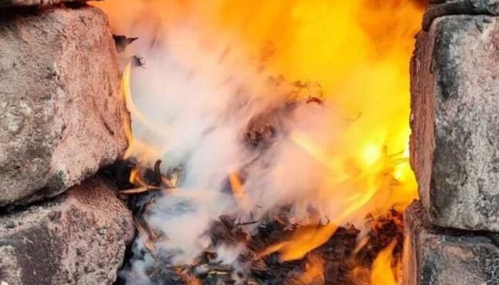 Droga incinerada na ação - Crédito: Divulgação PCMS