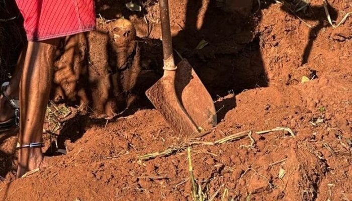 Corpo foi localizado em fazenda no município de Eldorado - Crédito: Divulgação/PC