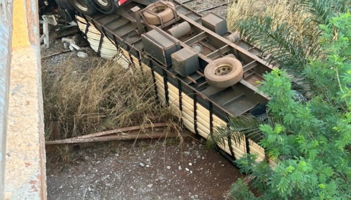 Carreta carregada com bois cai de viaduto na BR-262 próximo a Terenos