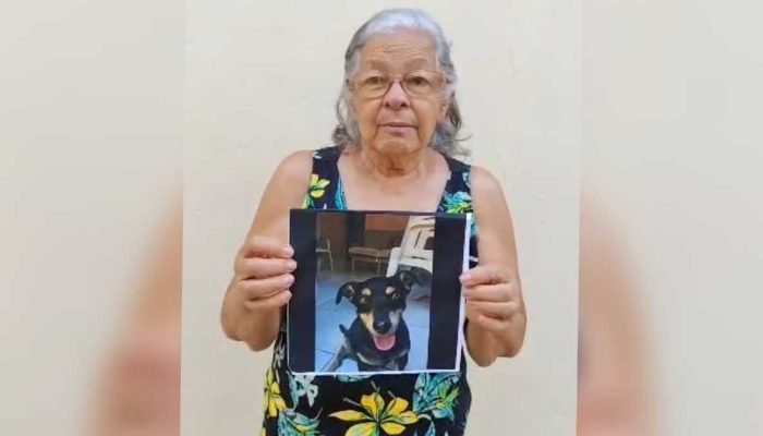 Cachorro sumido no Jardim Pênfigo mobiliza idosa em Campo Grande