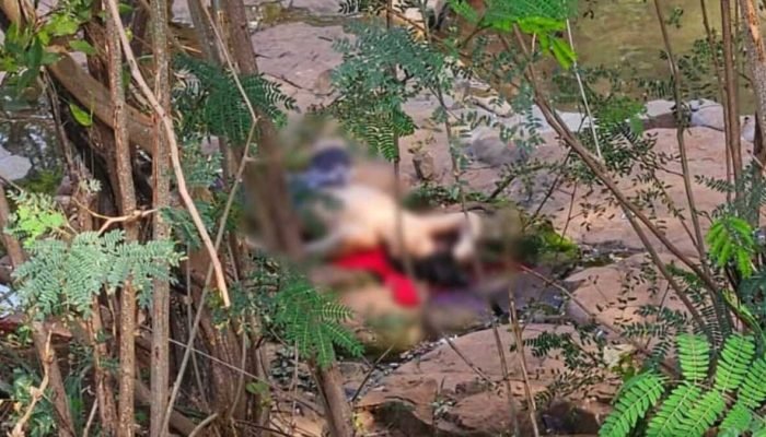 Aero Rancho: corpo é achado em córrego na tarde desta quinta