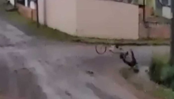 Idoso de 71 anos é ferido após bicicleta ser arrastada por caminhão em SC