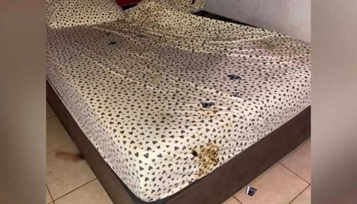 Homem fere pênis em relação a três em Rio Brilhante