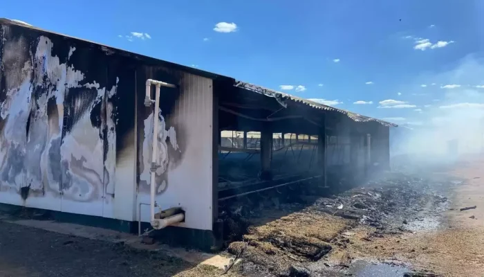 Incêndio Destrói Granja Avícola em Chapadão do Sul, MS